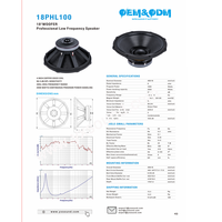 Altavoz Profesional de 15 Pulgadas 18PHL100, Woofer de 1000W, Bobina de Voz de 4'', Accesorio de Audio para Escenario, Amplificador OEM de Fábrica