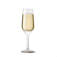 Flûtes à boire en plastique style bohème pour mariage, fête, bar, vin mousseux, cocktail, en Tritan, réutilisables et écologiques