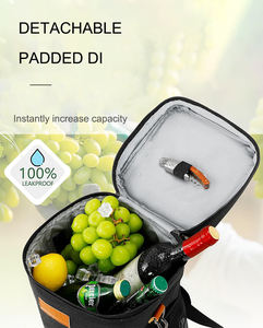 Kunden spezifische Luxus tragbare Weint asche Modische isolierte auslaufs ichere Wein kühltasche für Rotwein flasche zum Tragen für Damen - Product Image 2