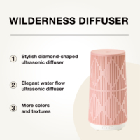 Diffuseur d'arômes, nouveau produit, design tendance rose, diffuseur d'huiles essentielles pour salon et chambre.