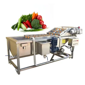 Industrial Commercial 4m Length 1000kg/h Ozone Air Bubble Date Vegetable Mango Avocado Fruit Strawberry Washing Machine