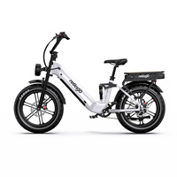 Vélo électrique Reliago 48V 500W à pneus larges 20x4.0 avec deux batteries 18Ah et freins à disque hydrauliques avant et arrière