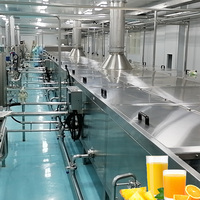 Hoge Standaard Rijpe Mango Jam Productielijn Professionele Fabriek Fruit Pulp Proces Lijn