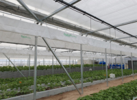 Conduits de ventilation anti-biologique légers de qualité supérieure pour les serres de plantes d'intérieur Systèmes de CVC flexibles industriels