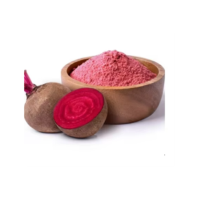 Pure Spray <b>Dried</b> Beetroot Powder Beta Vulgaris Root Powder Natural Food Ingredient <b>Plant</b> Based Raw Material Bulk Supply - Product Image 3