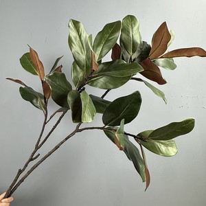 Rama de Hojas de <span class=keywords><strong>Magnolia</strong></span> <span class=keywords><strong>Grandiflora</strong></span> Artificial al por Mayor, Tallo de Follaje de <span class=keywords><strong>Magnolia</strong></span> Artificial con Frutos para Decoración de Paredes de Plantas en Bodas y Hogares - Product Image 3