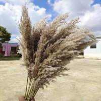 Dekorasi Festival pesta pernikahan baru bunga kering Pampas alami rumput untuk rumah kantor musim panas Flora untuk Hari Ibu Paskah