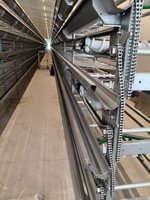 Nouvelle cage à cailles automatique de type H en alliage d'aluminium pour élevage avicole, origine Shandong, garantie 1 an
