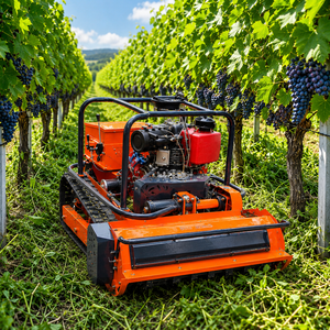 Cortadora de Césped Robótica con Control Remoto, Orugas de Goma, Motor con Certificación CE y EPA, para Agricultura, LC-80/100/120, Envío Gratis - Product Image 1