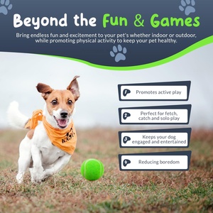 Jouets à mâcher pour chiens personnalisés avec logo, écologiques, en gros, balles de tennis en caoutchouc pour animaux de compagnie, jouets interactifs pour chiens - Product Image 5