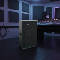 Système de sonorisation Line Array professionnel Seer T-8, enceinte passive avec sortie 200W RMS, woofer 8 pouces et tweeter 2 pouces, boîtier en contreplaqué de bouleau
