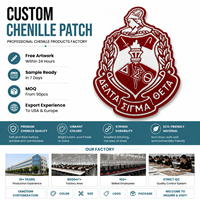 Écussons Chenille Personnalisés Logo OEM Université Sororité AKA, Braderie Pailletés Thermocollants, Patch Lettre Collège en Chenille