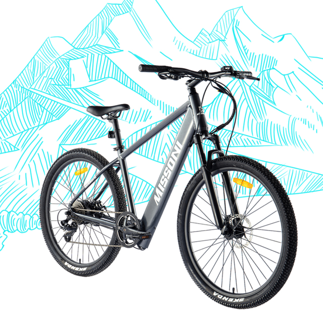 27.5 Inch Mountain Electric Bike 250W 36V Removable Battery 8 Speed Aluminum Alloy Dual Disc Brake Full Suspension LCD Display