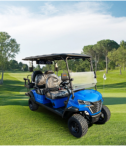 Ruedas para Carrito de Golf Eléctrico de 60V y 1200W, Alquiler Disponible - Product Image 5