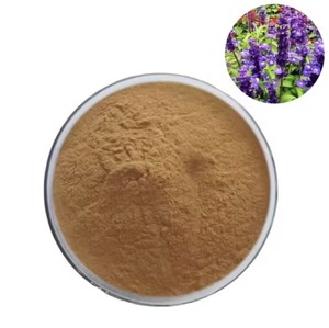 Bột chiết xuất lá cây xô thơm (<span class=keywords><strong>Salvia</strong></span> Officinalis) nguyên chất 100%, cấp thực phẩm, tỷ lệ 10:1 - Product Image 3