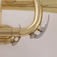 Factory Price JinBao TR-300 Yellow Brass Bb Key Standard Practice Trumpet