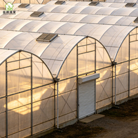 Serres agricoles de grande envergure personnalisées en usine avec plusieurs modes de ventilation et systèmes hydroponiques