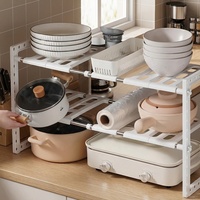 Étagère de rangement de cuisine pliable à double niveau en acier inoxydable écologique, à poser au-dessus de l'évier, pour organiser les assiettes et les bols