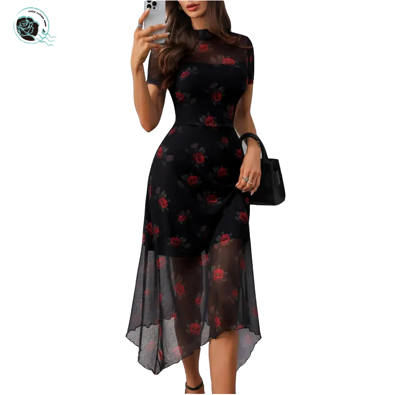Mesh Maxi Dress Elegant Sheer Long Sleeve Women's Dress