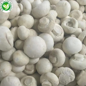 Iqf मशरूम की कीमत जमे एarकस बिस्पोरस - Product Image 4