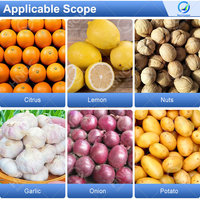 OCEAN Automatische Passievrucht Trommeltype Formaat Sorteerder Cherry Tomaten Appel Reinigings- en Sorteermachine Prijs