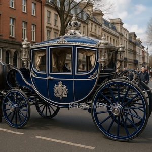 Carruaje Real Eléctrico de Lujo Mara Gold Drawn en Venta - Product Image 3