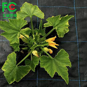 Greenhouse Ground Cover Tree Weeding Mat Plastic Mulch/high quality weeding mat /plastic ground cover