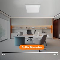 Panel LED Plano de Alta Calidad 2x2, 40W, 120-277V, 0-10V, Regulable, Montaje en Superficie, Luz de Techo, Certificado ETL, Profesional, Comercial