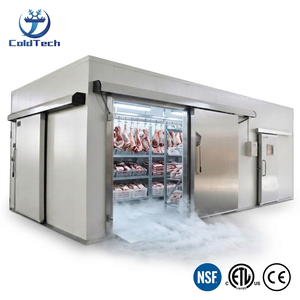 Chambre froide 10x8x8 pieds, congélateur walk-in avec unité monobloc pour le stockage de viande congelée - Product Image 1