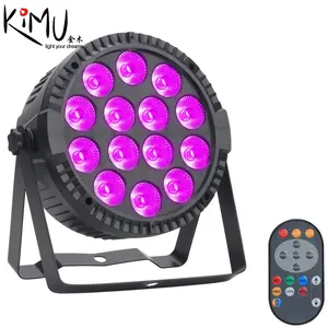 14*6W Dmx 512声音激活迪斯科Dj剧院婚礼发光二极管Par Can舞台灯带遥控器