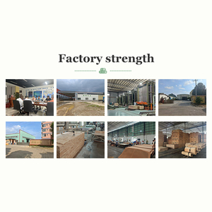 Panneaux de contreplaqué de qualité commerciale en gros pour meubles - Fabricant de panneaux écologiques - <span class=keywords><strong>Nancy</strong></span> - Product Image 5