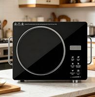 Cuisinière infrarouge portable en gros 110V, plaque de cuisson électrique multifonctionnelle à infrarouge, cuisinière infrarouge