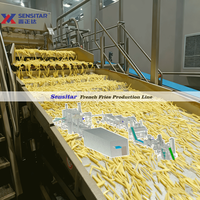 Machine industrielle entièrement automatique de fabrication de frites surgelées Sensitar, norme européenne, contrôlée par PLC, haute capacité de 8000 kg