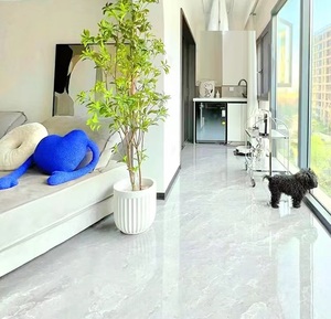 Olivier artificiel avec pot de ciment enduit de poudre nordique Nouveau design durable et écologique pour la maison ou le jardin - Product Image 3