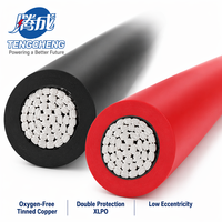 Câble solaire industriel en cuivre étamé 4mm 6mm 10mm Rouge Noir XLPE DC pour chargeur solaire domestique pour énergie photovoltaïque