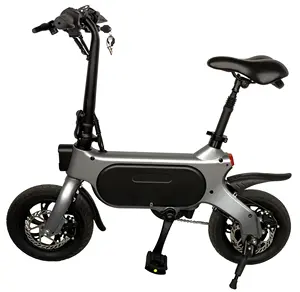 Minal sıcak satmak M1 Pro mini elektrikli bisiklet 48V 12.5Ah pil 250W motor yetişkinler için arkadan çekişli motosiklet fırçasız dişli Hub 12 inç ebike