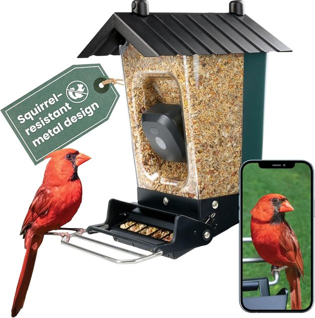 JH-Mech New Design  High Quality Visible  Roof Bird Bath for Easy Watching Metal Solar Bird Feeders for Outside Hanging