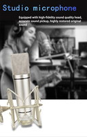 Microphone XLR à condensateur de bureau de studio professionnel OEM cardioïde filaire 26MM 34MM noyau micro en métal pour chanteurs