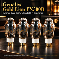 Tube à vide Genalex GOLD LION PX300B, triode de puissance à pôles dorés, appairée avec précision, pour amplificateur HiFi, tube électronique audio DIY