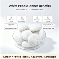 Мраморные гальки Natura Tumbled Snow White, мелкие булыжки, речной камень для декора экстерьера вилл и парков, натуральный камень