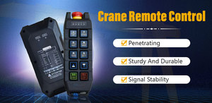 Grúa personalizada de una sola velocidad y dos velocidades, estructura de elevación para caminar, <span class=keywords><strong>control</strong></span> remoto inalámbrico dedicado - Product Image 6