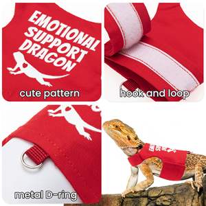 Conjunto de arnés y correa de dragón barbudo a prueba de Escape lagarto reptil arnés de Animal pequeño y correa cuerda <span class=keywords><strong>ropa</strong></span> de dragón barbudo - Product Image 4