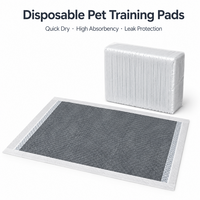 Tapis de propreté pour chien personnalisables avec logo, en charbon de bambou et PE, écologiques, anti-odeur, séchage rapide, avec support imperméable, pour l'apprentissage et le nettoyage