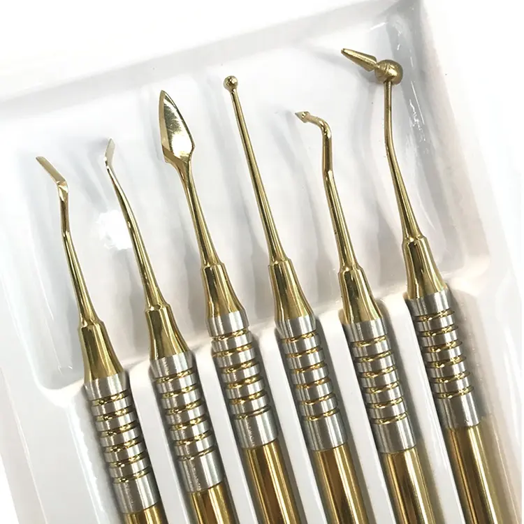 Kit d'instruments dentaires, équipement de nettoyage et de remplissage des dents, couleur dorée, 6 pièces, outils en acier inoxydable