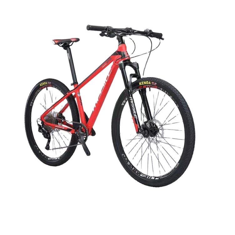 MISSILE new 10 speed mtb 29 inch mountain bike for man  alloy mountain bike 29er mtb bicicleta