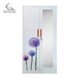 Stampa modello Almirah metallo armadio a 2 porte in ferro camera da letto mobili in acciaio armerie per uso domestico - Product Image 4