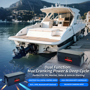 亚欧耐克磷酸铁锂电池组 12v 100AH 200AH 24v 100ah 200ah 300ah 460ah 48V 锂离子深循环电池组 - Product Image 5