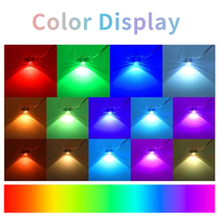 Lampes LED Extérieures Étanche de Haute Qualité pour la Décoration des Avant-Toits avec Contrôleur RGBIC IP67 DC 5V Températures de Couleur 6000K 6500K