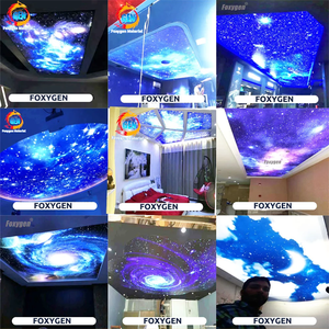 直販の人気商品 3D星空カスタムデザイン装飾広告ライトボックス PVCフィルム スカイストレッチ天井（KTV用） - Product Image 4