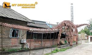 MY DINO Musée Exposition Taille Réelle <span class=keywords><strong>Grand</strong></span> Dinosaure Argentinasaurus Squelette à vendre - Product Image 4